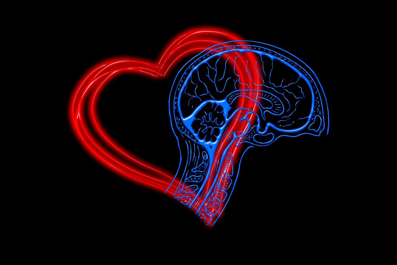 Erfolgreiche Führung durch EQ und IQ